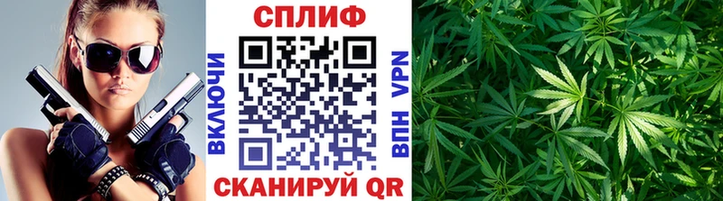 Бошки Шишки Ganja Таруса